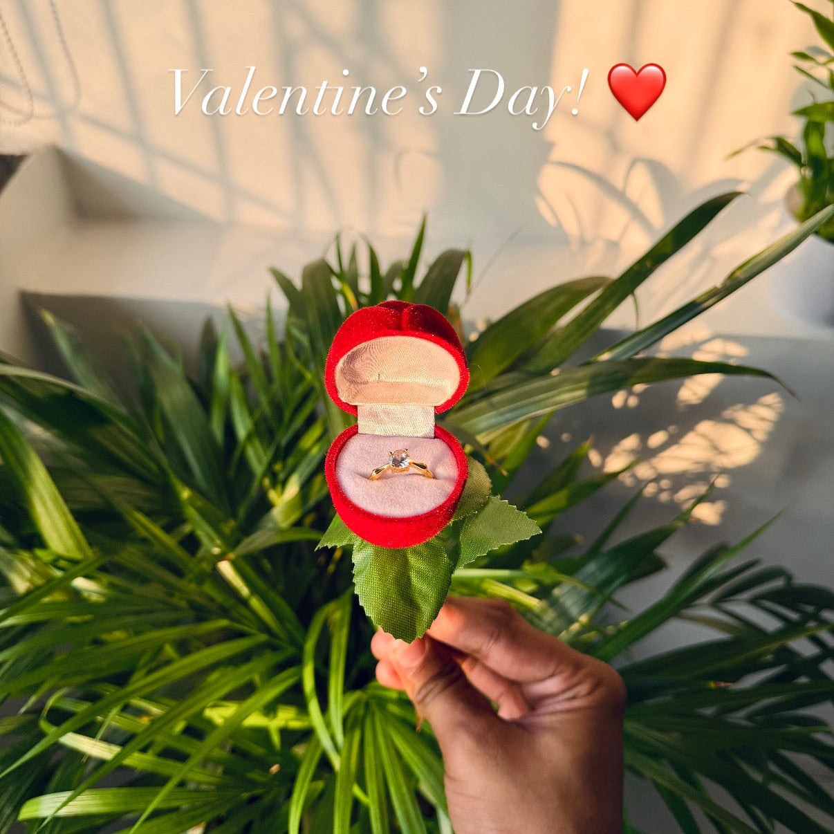 Valentine's Special Hamper