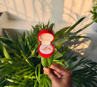 Add a Love Rose + Ring 🌹💍
